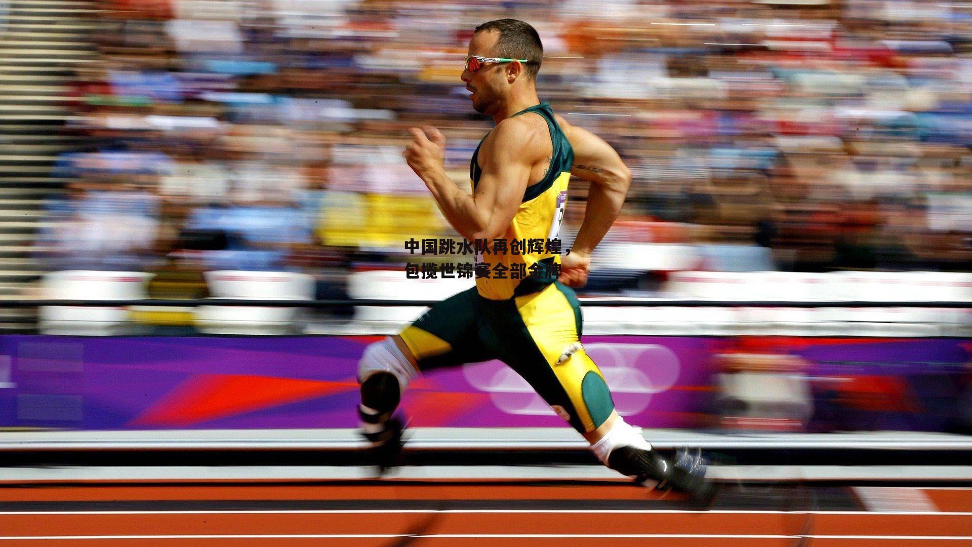 中国跳水队再创辉煌，包揽世锦赛全部金牌